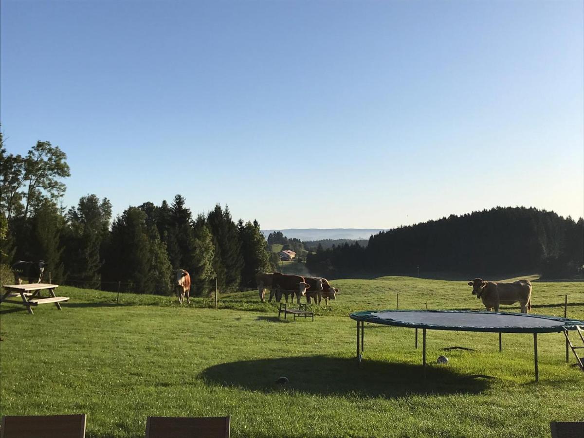 Gmeinder'S Landhaus Immenstadt im Allgäu Екстериор снимка